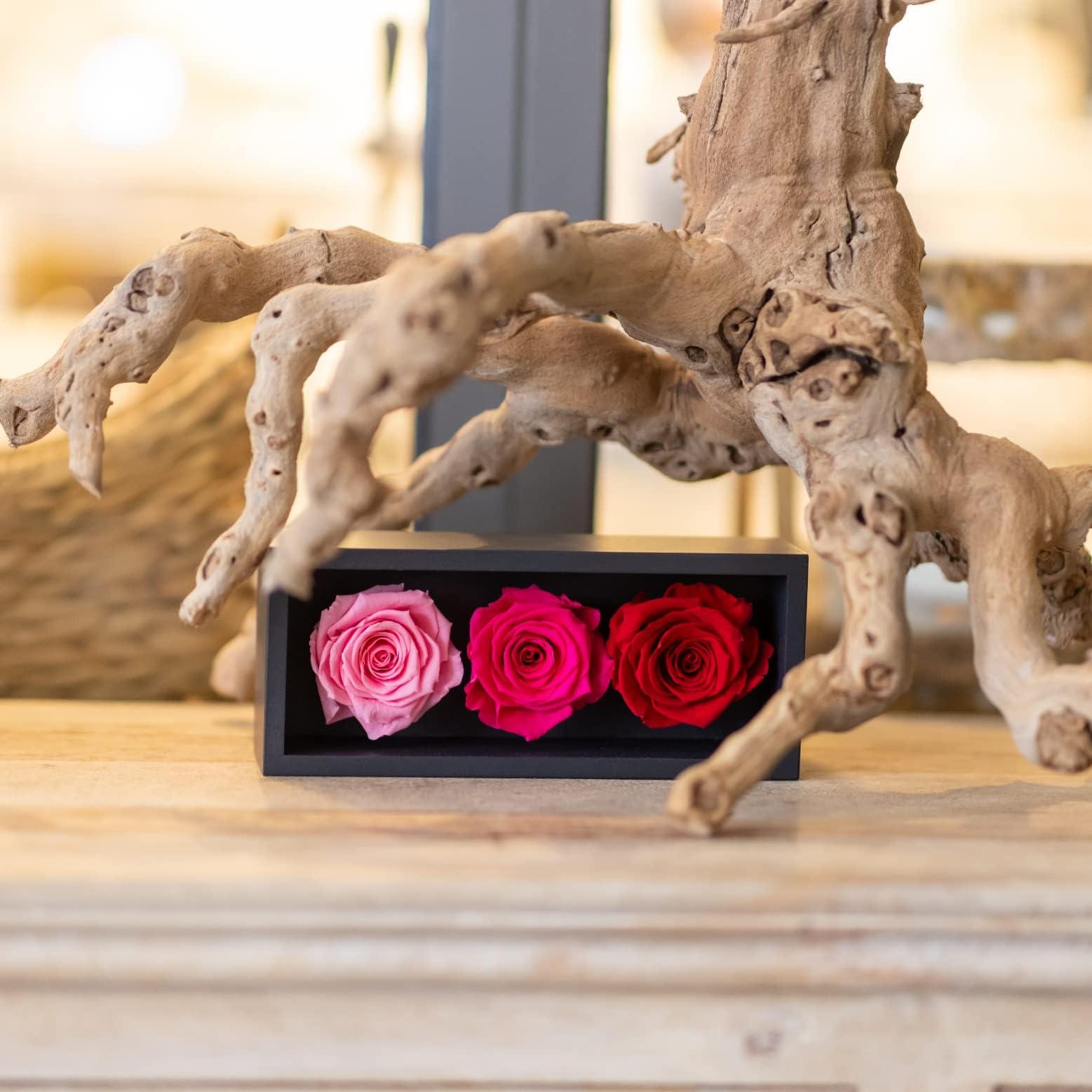 Graduation Preserved Roses in Wood Box, 3 Red/Pink Birthday Flowers for Delivery Prime, Everlasting Flowers, Natural Forever Roses That Last for Years, Eternal Rose, Gift for Mum 3