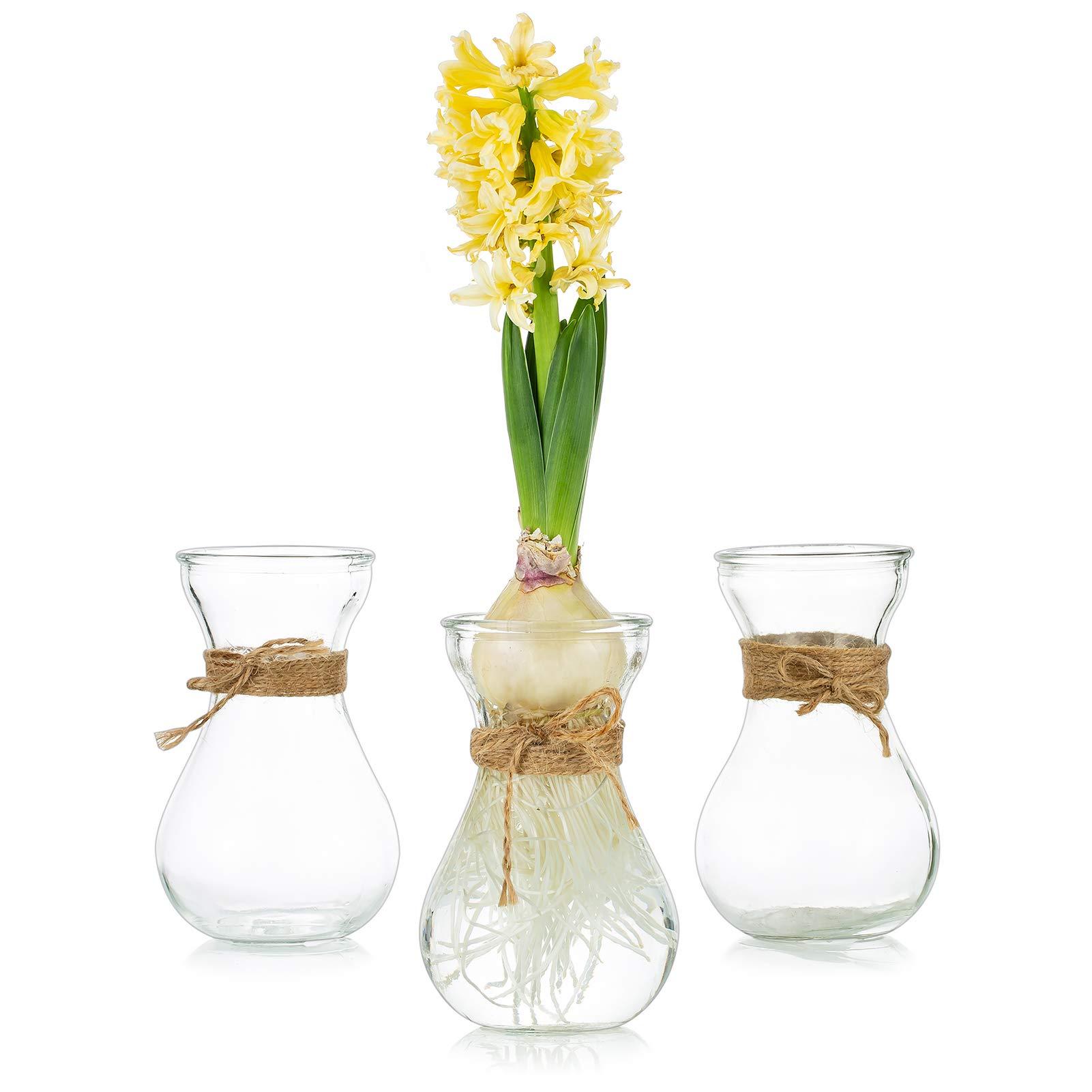 Glass Vases for Flowers with Twine Rope 3 Pcs/Set Floral Arrangements, Flower Vases Glass, Crystal Bud Vases Creative for Wedding, Home, Kitchen, Garden Balcony Decoration