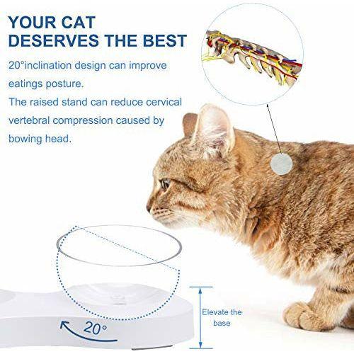 G.C Cat Bowl Double Tilted Cat Food Bowl with Raised Stand Water Bowl Pet Food Feeder Pet Dog Bowl Non-Spill Feeding Bowls for Kitten Puppy 1