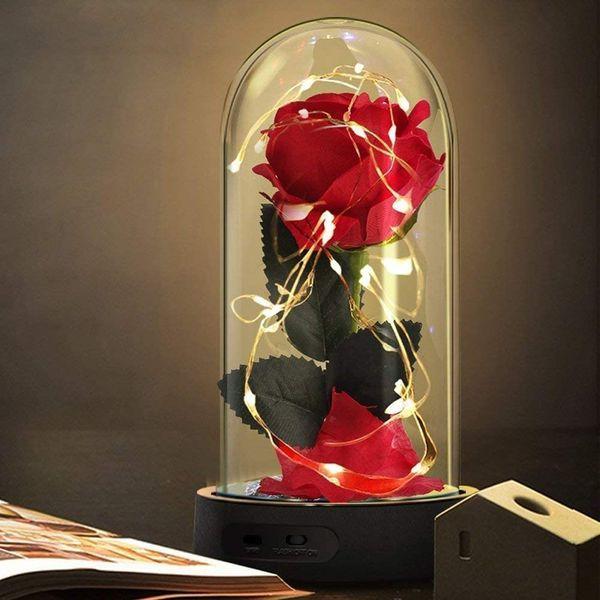 Beauty and the Beast Rose Kit, Enchanted Rose Red Silk Rose with 7 Colors LED Light in Dome, for Valentine Gift, Wedding, Anniversary, Birthday Gift, Christmas Day
