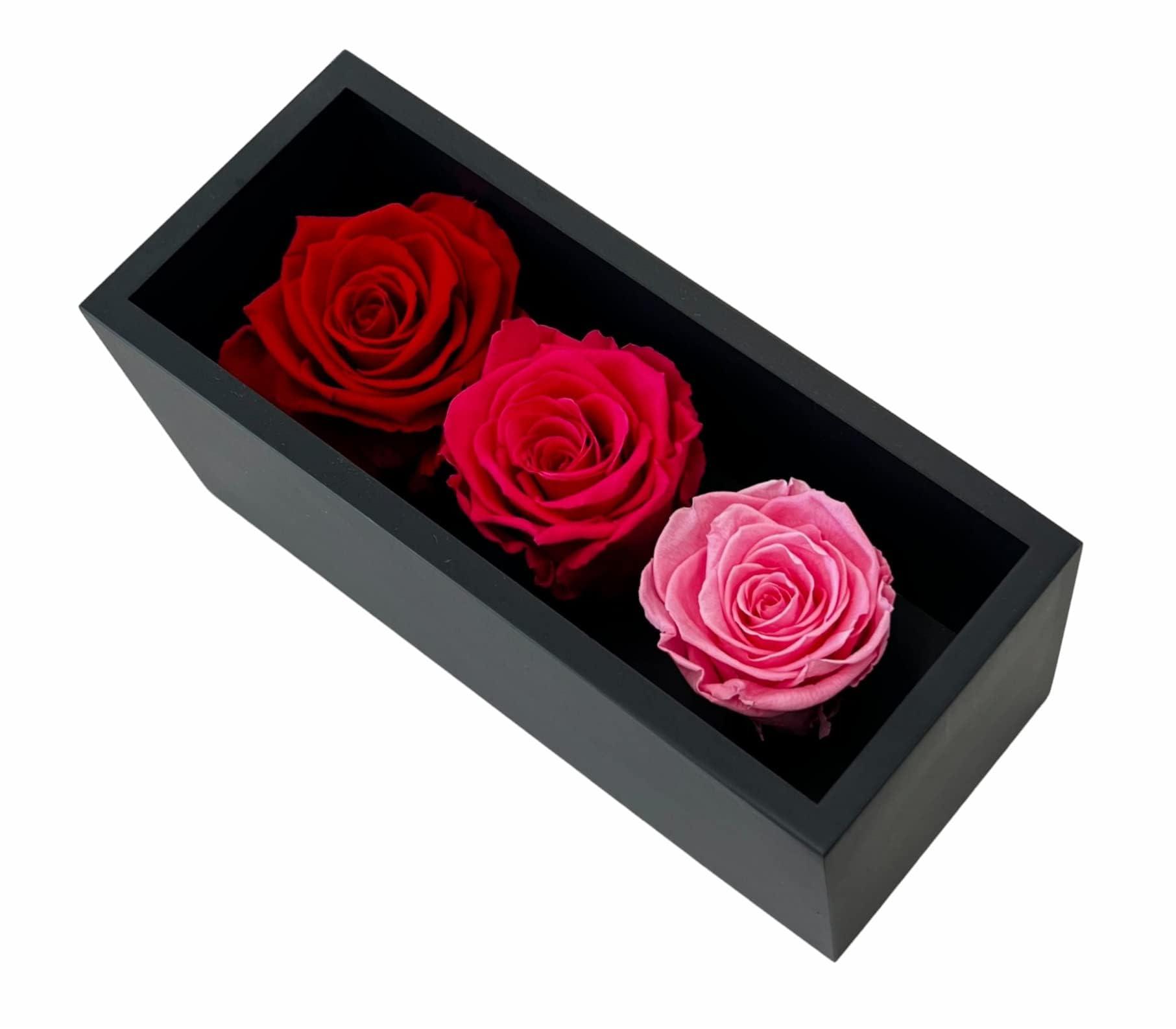 Graduation Preserved Roses in Wood Box, 3 Red/Pink Birthday Flowers for Delivery Prime, Everlasting Flowers, Natural Forever Roses That Last for Years, Eternal Rose, Gift for Mum