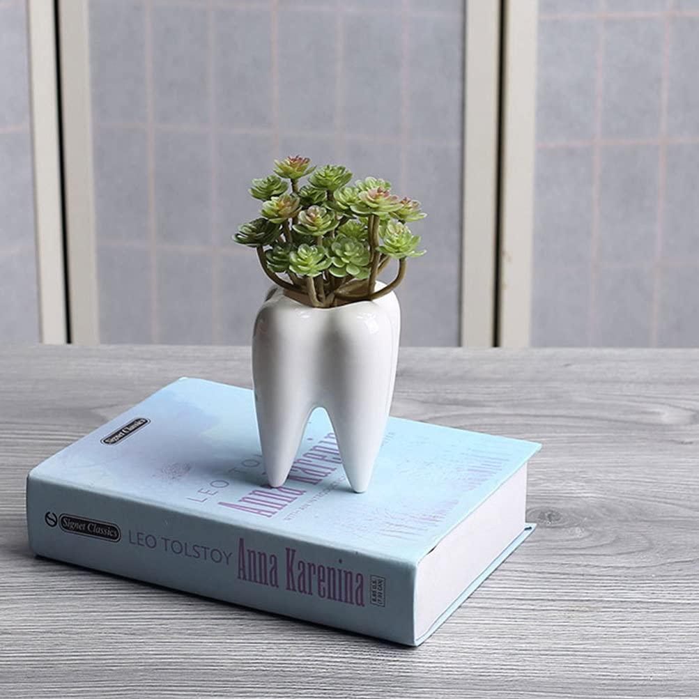 2Pcs Cute Tooth Shaped Ceramic Flower Pot Succulent Planter Pot Bonsai Plant Holder Cactus Container Plant Pen Holder for Home Office Decor White 7