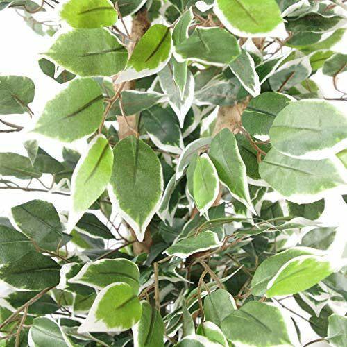 Leaf Artificial Ficus Tree/Plant, White Edge Bushy, 130cm 1