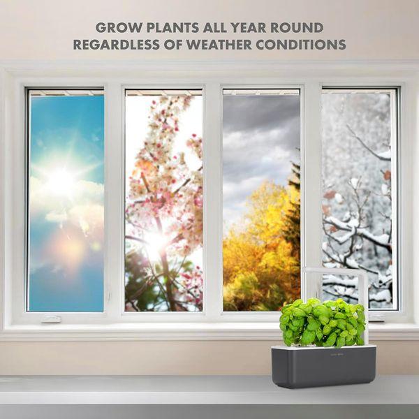 Click and Grow Smart Garden 3 Indoor Gardening Kit (Includes 3 Basil Plant Pods), Grey 3