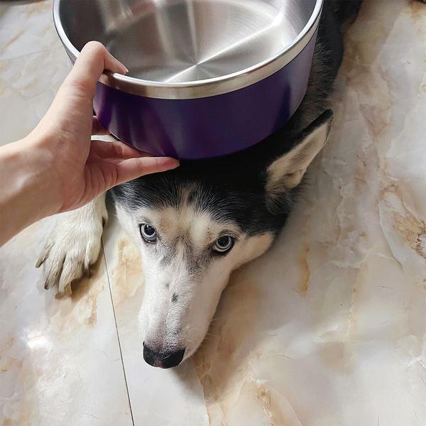 IKITCHEN Dog Bowl for Food and Water, 40 Oz Stainless Steel Pet Feeding Bowl, Durable Non-Skid Double Wall Insulated Heavy Duty with Rubber Bottom for Medium Large Sized Dogs (40 Ounces/5 Cup, Purple) 2