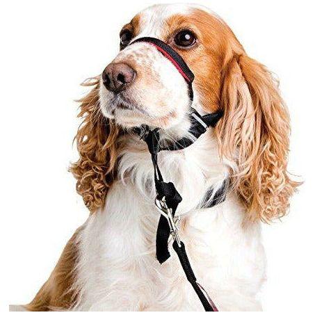 Halti Head Collar, Adjustable Head Halter Collar for Dogs, Head Collar to Stop Pulling for Small Dogs 4