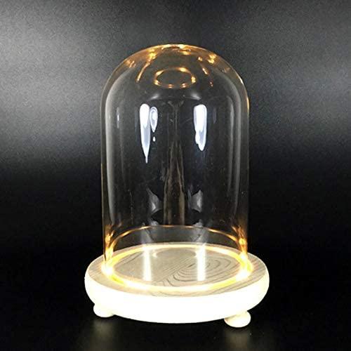 Warmiehomy Glass Cloche Bell Jar Dome with Wood Base + Lights (With warm white light, 9x15cm)
