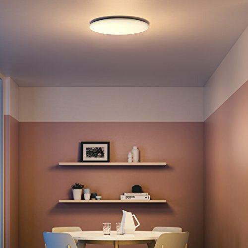 Philips Wawel Indoor 36Â W White Ceiling LightingÂ -Â Lamp (Bedroom, Functional, Living Room, Indoor, White, IP20, Brushed, Around) 2