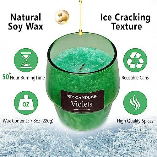 Experience Relaxation with Our Scented Jar Candle - 100% Natural Soy Wax, Burns up to 45 Hours, Aromatherapy Candle Gift for Any Occasion (#2 Single Violets) 4