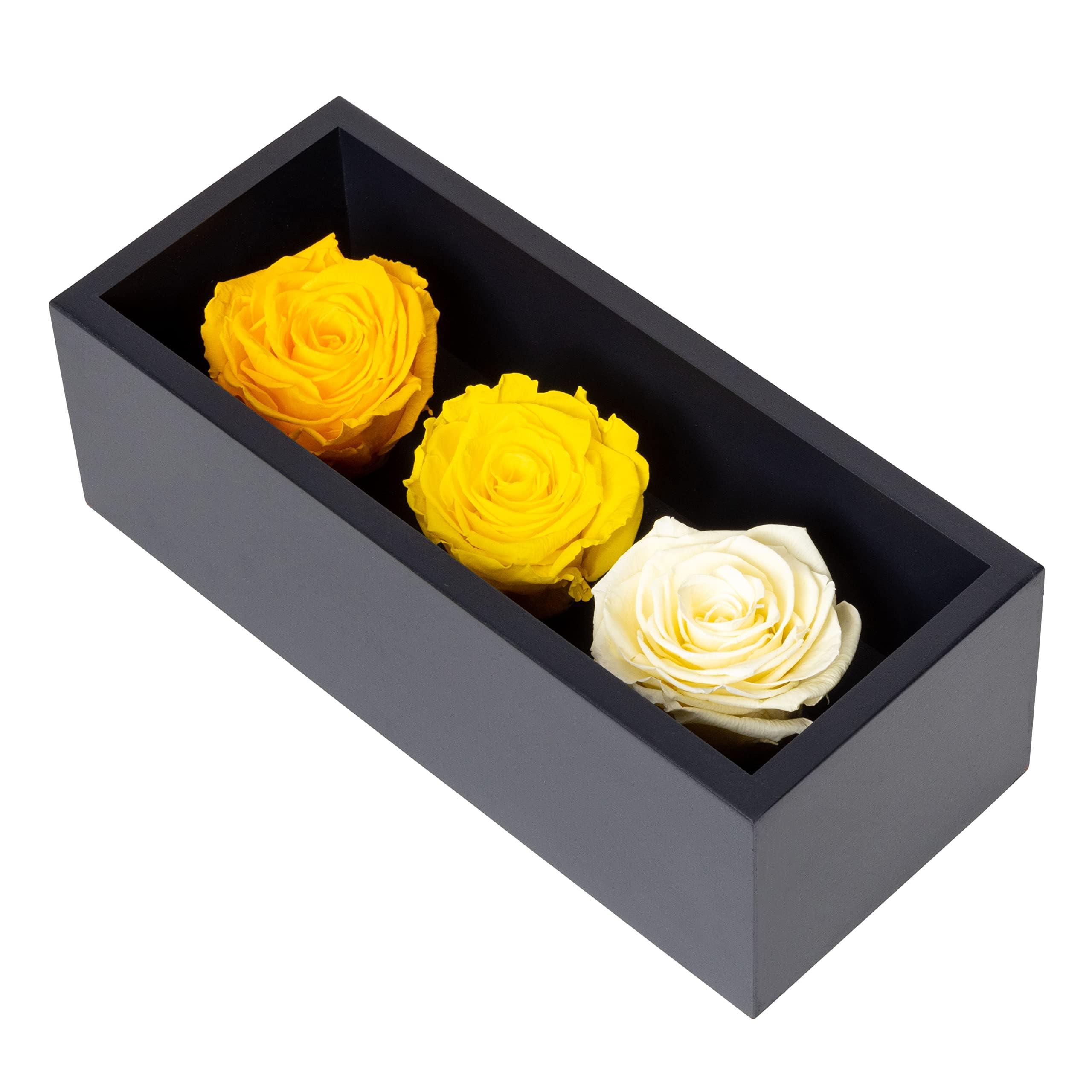 Khiva Graduation Preserved Roses in Wood Box, 3 Yellow Birthday Flowers for Delivery Prime, Everlasting Flowers, Natural Forever Roses That Last for Years, Eternal Rose, Gift Delivery for Mum