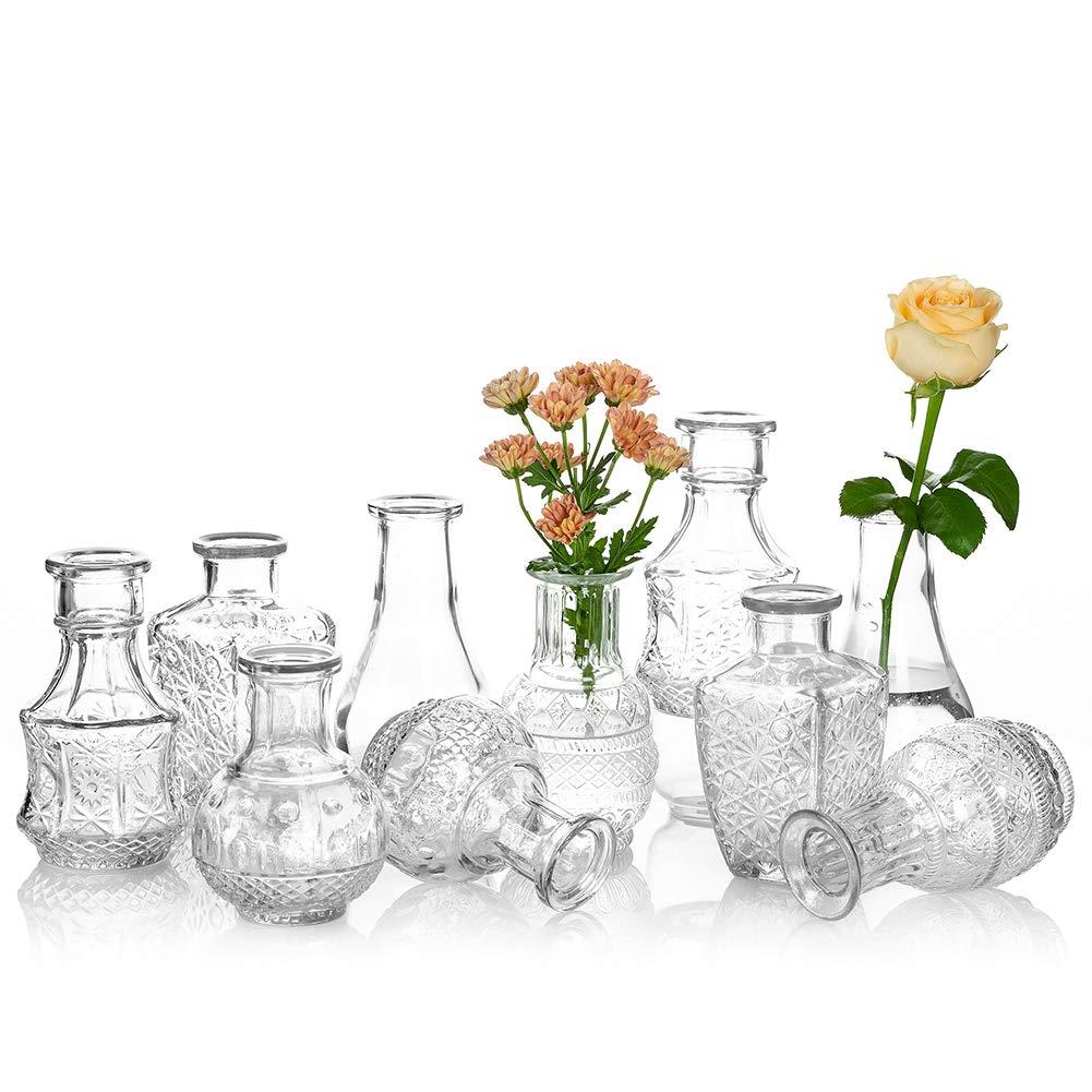 Glasseam Small Glass Flower Vase Vintage: Mini Bud Sweet Pea Vases Set of 10 Crystal Clear Rustic for Living Room Dining Table Wedding Centrepiece Indoor Bedroom Decoration
