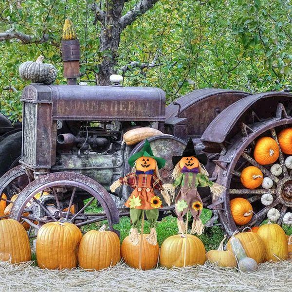 IFOYO 2 Pack Fall Harvest Scarecrow Decor, Pumpkin Halloween Decorations 23.6 Inch Medium Scarecrow Halloween Decoration for Garden, Home, Yard, Porch, Thanksgiving Decor 3