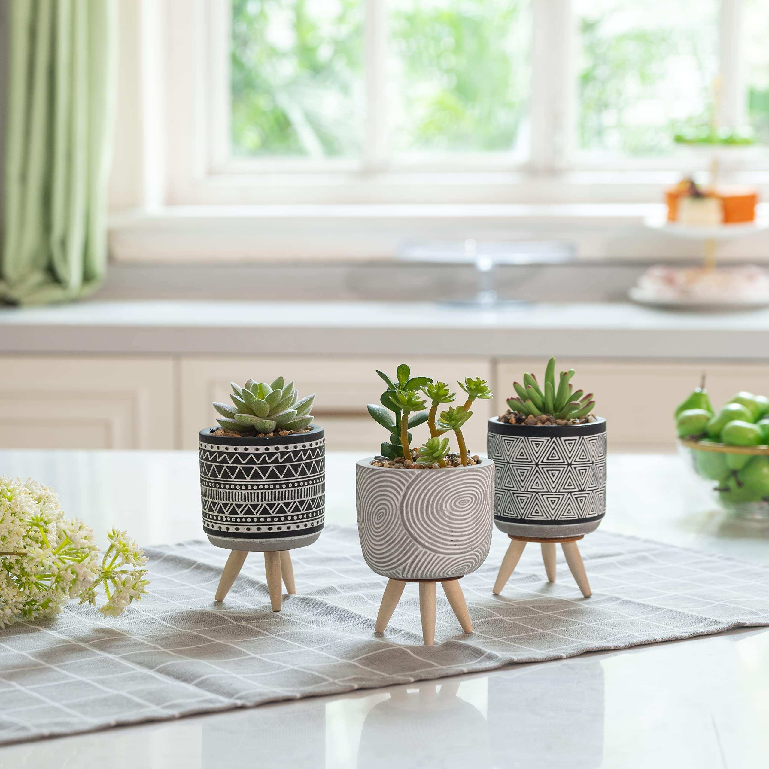 TERESA'S COLLECTIONS Artificial Succulent Plant in Pot Set with Stand, Set of 3 Small Fake Plants Indoor Planter Pots for Bathroom, Gifts, Spring Decor, Home Decor, H16.5cm, Gift for Home Decoration 1