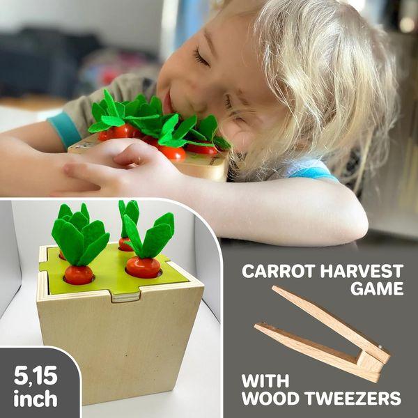Quokka Montessori Toys For 1 2 Year Old Boy & Girls - 4 SET Wooden Baby Toy 6-12 Months Object Permanence | Coin Box | Carrot Harvest | Color Matching Sticks | Shape Sorter | Ball Drop Learning 4