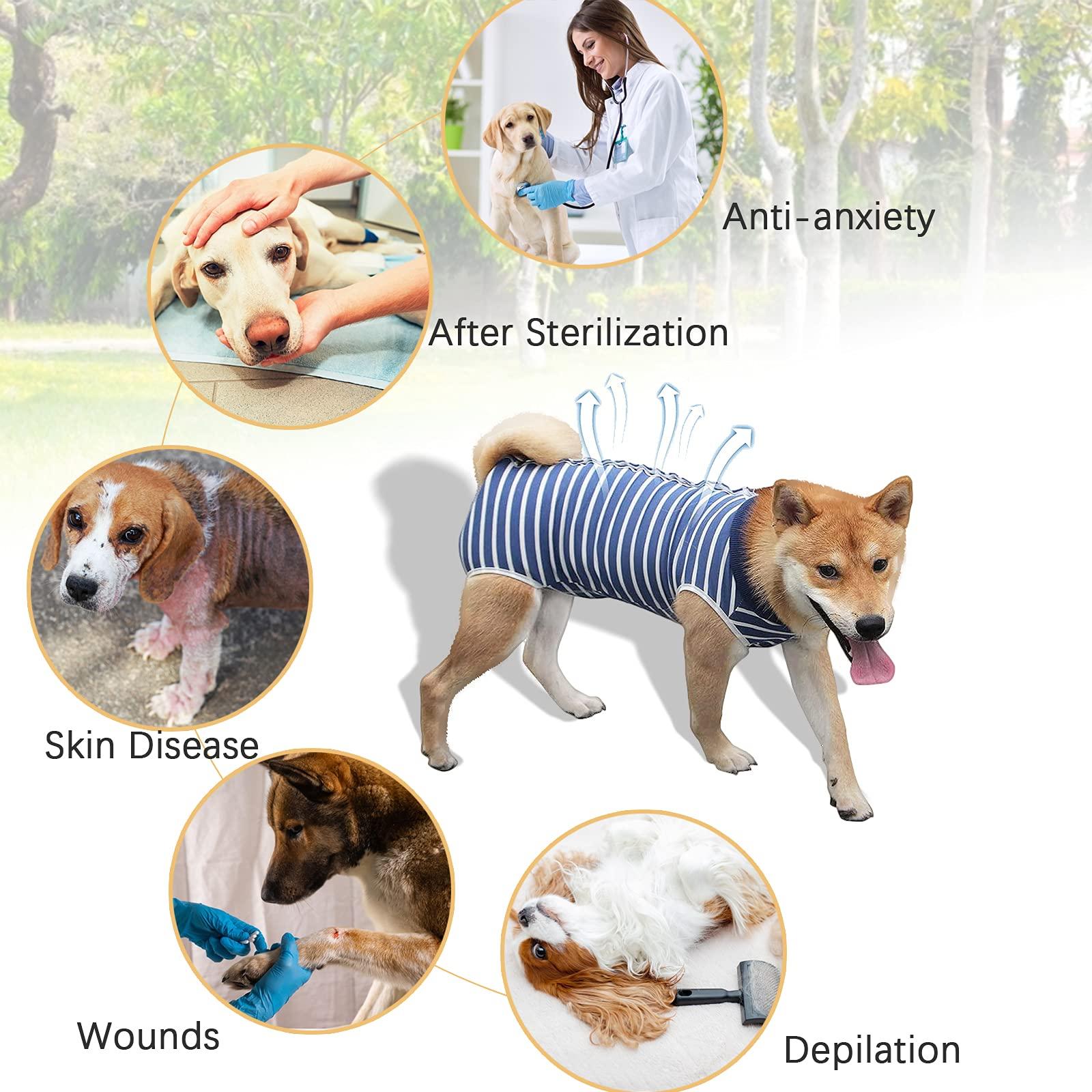 Hipet Dog Surgical Recovery Suit for Abdominal Wounds or Skin Diseases, Dog Onesie for Surgery E-Collar & Cone Alternative Anti-Biting Lick Wound (XXXL, Stripe Blue) 3