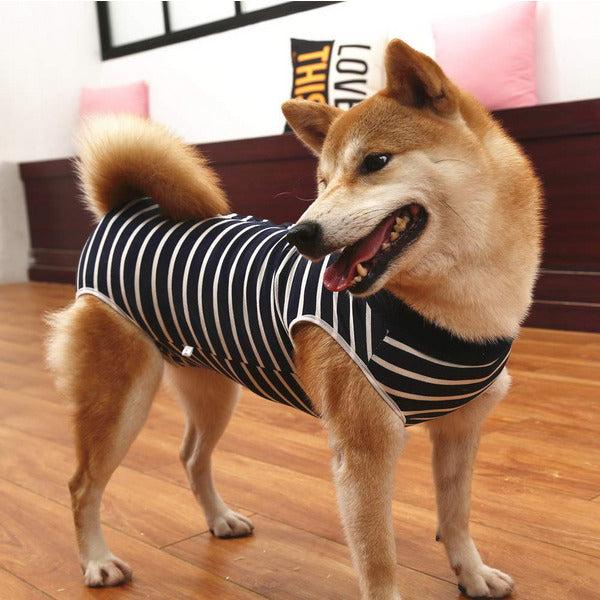Dog Recovery Suit Cat Abdominal Wound Protector Puppy Medical Surgical Clothes Post-operative Vest Pet After Surgery Wear Substitute E-collar & Cone (XL, blue stripe) 4