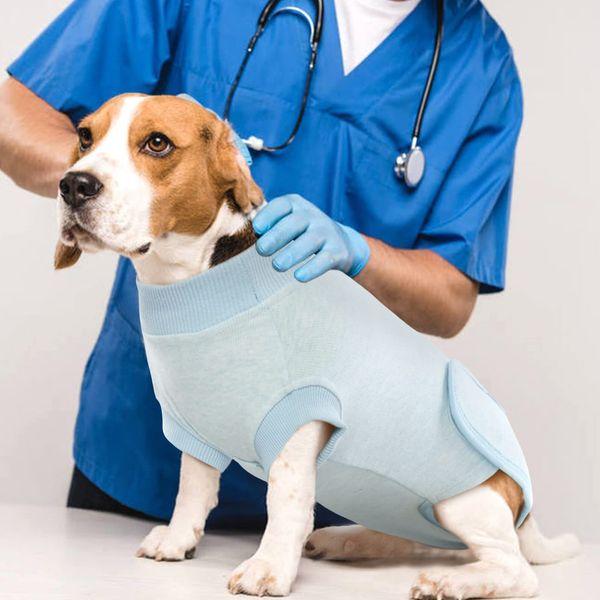 Hjumarayan Dog Surgery Recovery Suit - Stretchy Dog Post Surgery Body Suit Dog Body Suit After Surgery, Soft Dog Surgical Recovery Suit Dog Suit for After Surgery (Blue Stripe XXL) 2