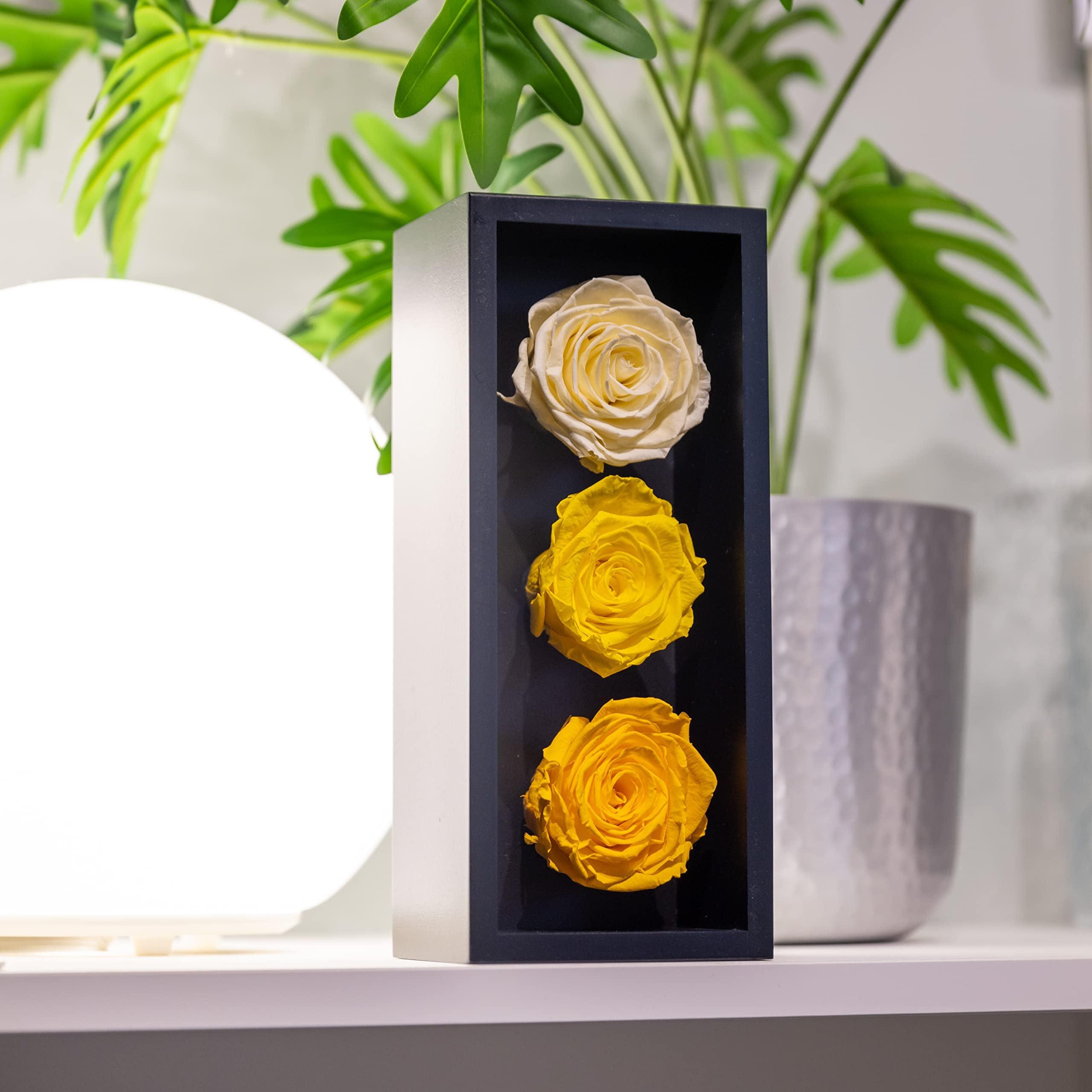Khiva Graduation Preserved Roses in Wood Box, 3 Yellow Birthday Flowers for Delivery Prime, Everlasting Flowers, Natural Forever Roses That Last for Years, Eternal Rose, Gift Delivery for Mum 3