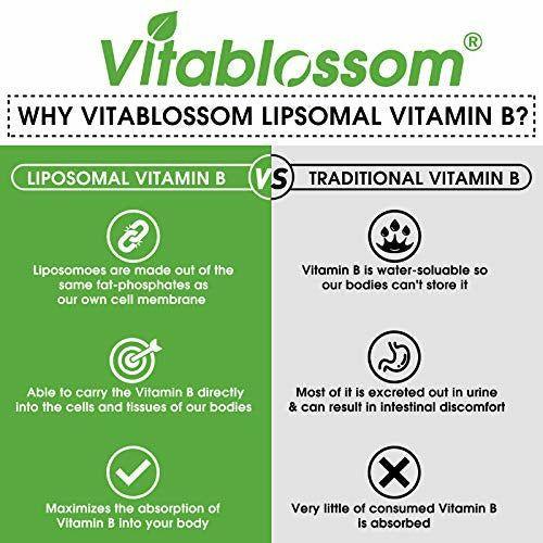Liposomal Vitamin B-Complex Liquid MAX Absorption Contains Vitamins B1 B2 B3 B5 B6 B12 Biotin and Folate Immune System & Energy 60ML (1 Pack) 1