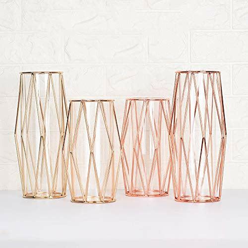 2Pcs/Set Glass Flower Vase with Geometric Metal Rack Stand, Crystal Clear Terrariums Planter, Bud Glass Vases for Flowers Hydroponics Plant, Centerpiece for Home Office Wedding, Rose Gold 4