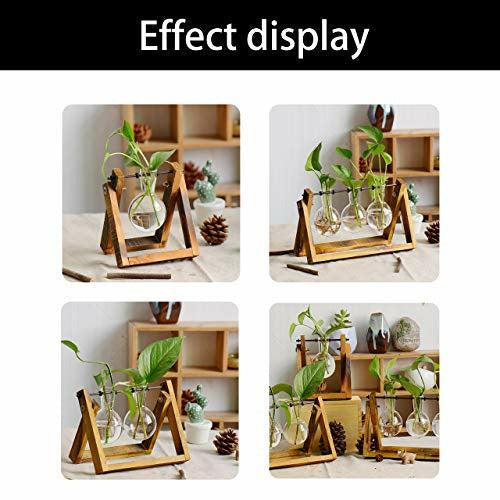 Chenyi Wooden Frame Hydroponics Delicate Vase Plant Terrarium Transparent Glass Vase Holder for Coffee Shop Room Decor (Three heads) 4