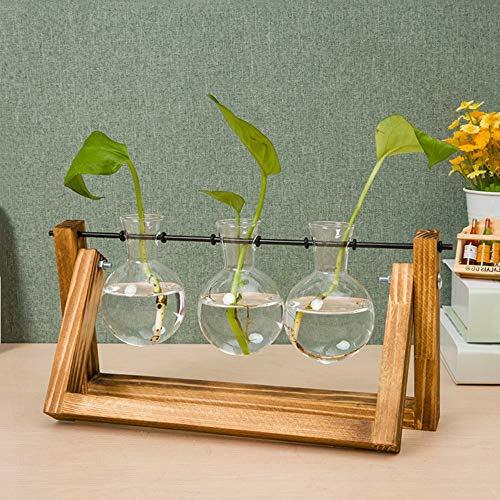 Chenyi Wooden Frame Hydroponics Delicate Vase Plant Terrarium Transparent Glass Vase Holder for Coffee Shop Room Decor (Three heads) 1
