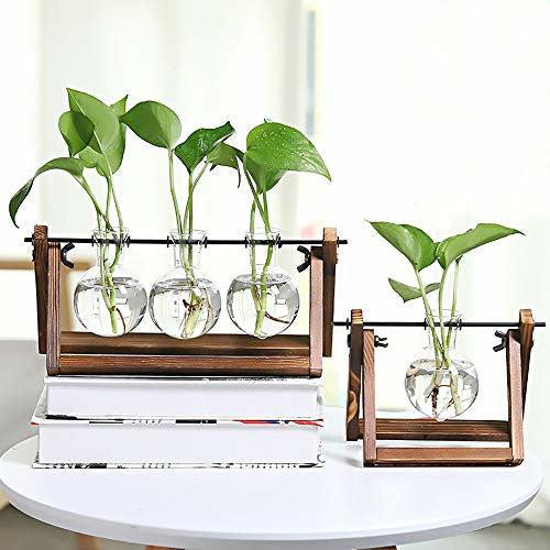 Chenyi Wooden Frame Hydroponics Delicate Vase Plant Terrarium Transparent Glass Vase Holder for Coffee Shop Room Decor (Three heads) 3