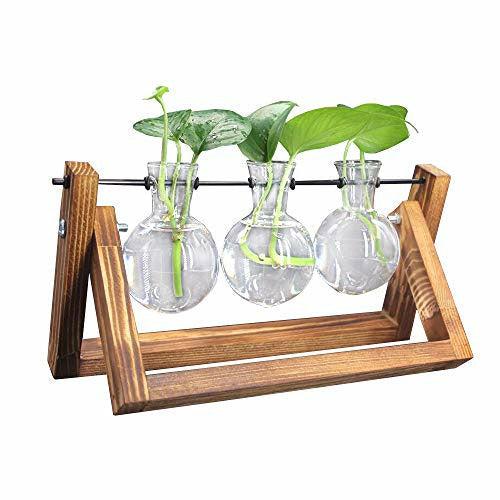 Chenyi Wooden Frame Hydroponics Delicate Vase Plant Terrarium Transparent Glass Vase Holder for Coffee Shop Room Decor (Three heads) 0