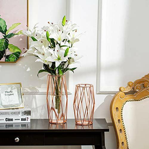 2Pcs/Set Glass Flower Vase with Geometric Metal Rack Stand, Crystal Clear Terrariums Planter, Bud Glass Vases for Flowers Hydroponics Plant, Centerpiece for Home Office Wedding, Rose Gold 2