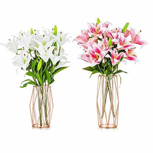 2Pcs/Set Glass Flower Vase with Geometric Metal Rack Stand, Crystal Clear Terrariums Planter, Bud Glass Vases for Flowers Hydroponics Plant, Centerpiece for Home Office Wedding, Rose Gold 0