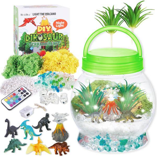 Dinosaur Gifts for Girl & Boys 3 4 5 6 7 8+Years Old DIY Dinosaur Night Light Dinosaur Terrarium Kit Toys with Remote Control and Handmade Art Craft Festival and Birthday Gifts for Boys and Girls 0