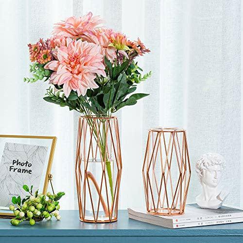 2Pcs/Set Glass Flower Vase with Geometric Metal Rack Stand, Crystal Clear Terrariums Planter, Bud Glass Vases for Flowers Hydroponics Plant, Centerpiece for Home Office Wedding, Rose Gold 1