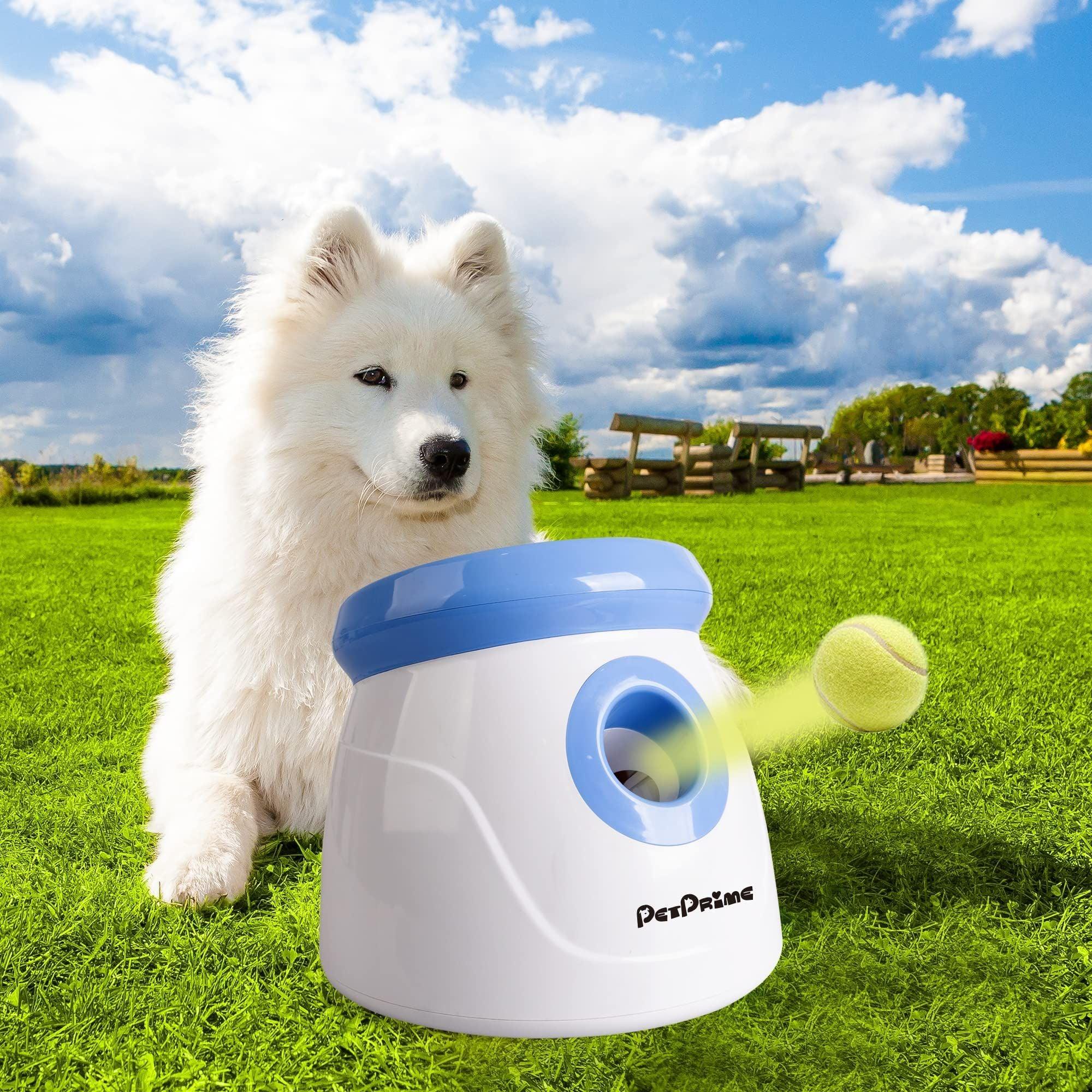 Automatic dog thrower online