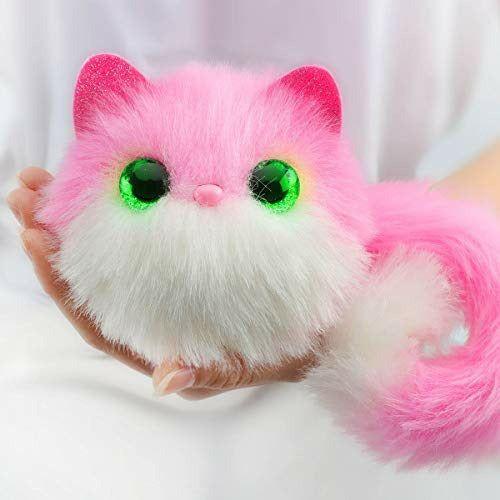 25KB 2001 null null null null 6 3 2003 null ZcO Taitm9vp M