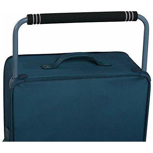 It luggage vitalize on sale