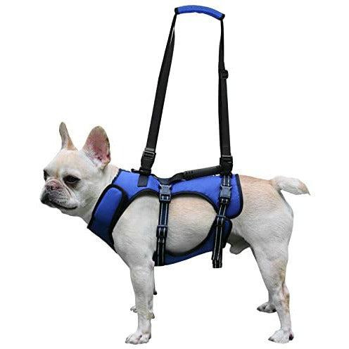 20KB 2001 null null null null null 9 9 1 2003 null PQz0PiSD89AfYM