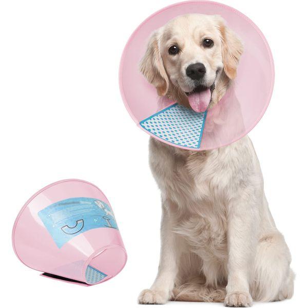 Protective elizabethan collar clearance