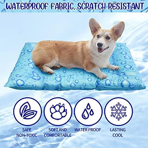 51KB 2001 null null null null null null null 1 2003 null b zGGJfLzfbyyM