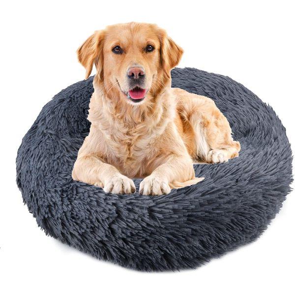 57KB 2001 null null null 6 6 3 null 1 2003 null 9awwoIFSVaBRM