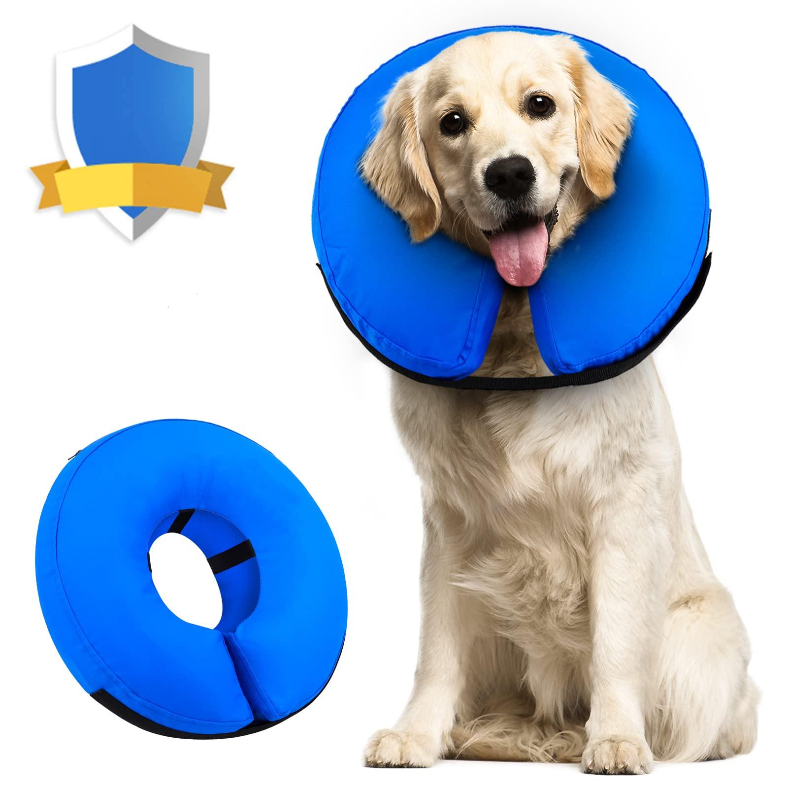 Protective collars for dogs after surgery online