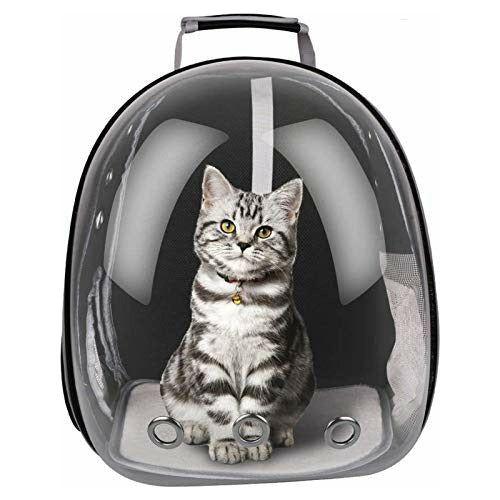 Cat carrier space backpack online