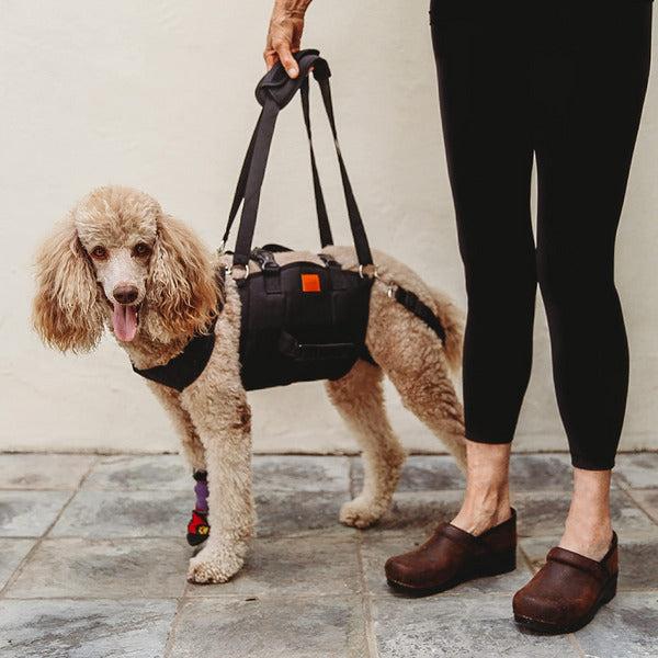 50KB 2001 null null null null null 3 2003 null ecHk7zAzmtk2xM