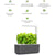 Click and Grow Smart Garden 3 Indoor Gardening Kit (Includes 3 Basil Plant Pods), Beige