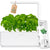 Click and Grow Smart Garden 3 Indoor Gardening Kit (Includes 3 Basil Plant Pods), White