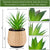 Joyvio Artificial Succulent Plants Potted, Small Fake Succulents in Ceramic Pots, Fake Plants Home Office Room Decor (3)