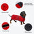 Dachshund dog coats sausage jacket perfect for dachshunds, corgi, weiner, dog winter coat with padded fleece lining and high collar, dog snowsuit with adjustable bands - Red - XLarge