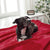 MIULEE Fleece Blanket Throw Red Twin Size Fluffy Plush Granule Bed Blankets - Soft Solid Warm Microfiber Throw as Bedspread for Bed Couch Sofa Settees 150x200cm（60