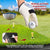 SAPLIZE Replaceable 3-in-1 Golf Hitting Mat with Heavy Duty Base, 13