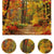 LYWYGG 8x6FT Autumn Backgroud Mountain Path Fallen Leaves Deciduous Landscape Autumn Backdrops Tree and Yellow Fall Leaves View Party Decorations Background Studio Props CP-67-0806