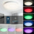 MAKELONG LED Smart Ceiling Light, 28cm 28W, Compatible with Alexa, Google Home, Remote Control Dimming and Color Adjust, RGB Color, Echo Voice Control, for Living Room, Bedroom